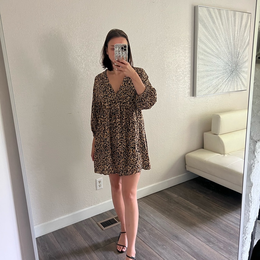 Zara dress